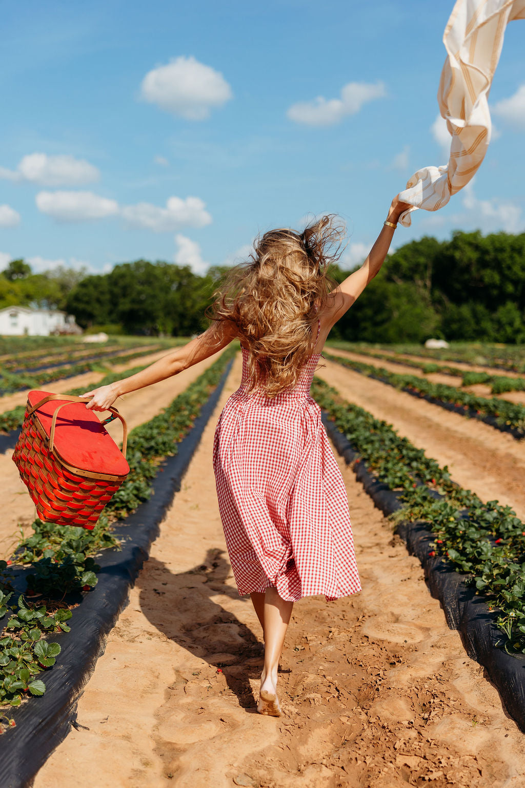 Vivien Gingham Midi Dress in Red