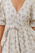 The Ari 100% Cotton Maxi Dress in Blue/Brown - Maternity and Nursing Friendly