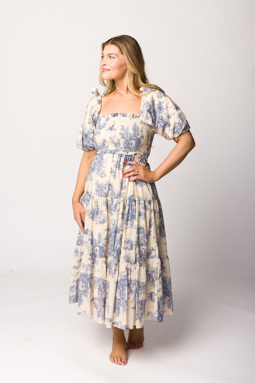 Elena Toile Print Midi Dress
